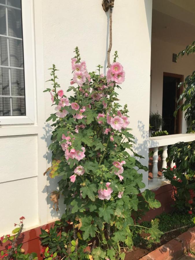 Robin Woods Homestay Sakleshpur Eksteriør billede