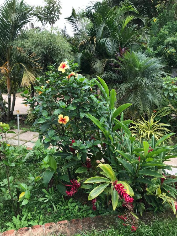 Robin Woods Homestay Sakleshpur Eksteriør billede
