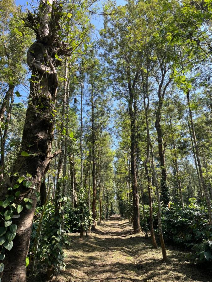 Robin Woods Homestay Sakleshpur Eksteriør billede