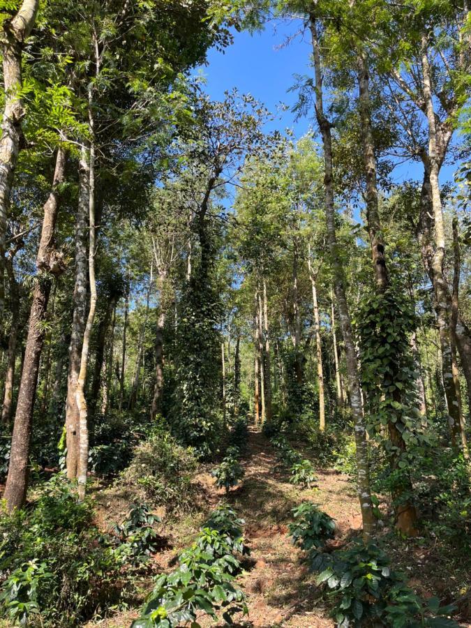 Robin Woods Homestay Sakleshpur Eksteriør billede